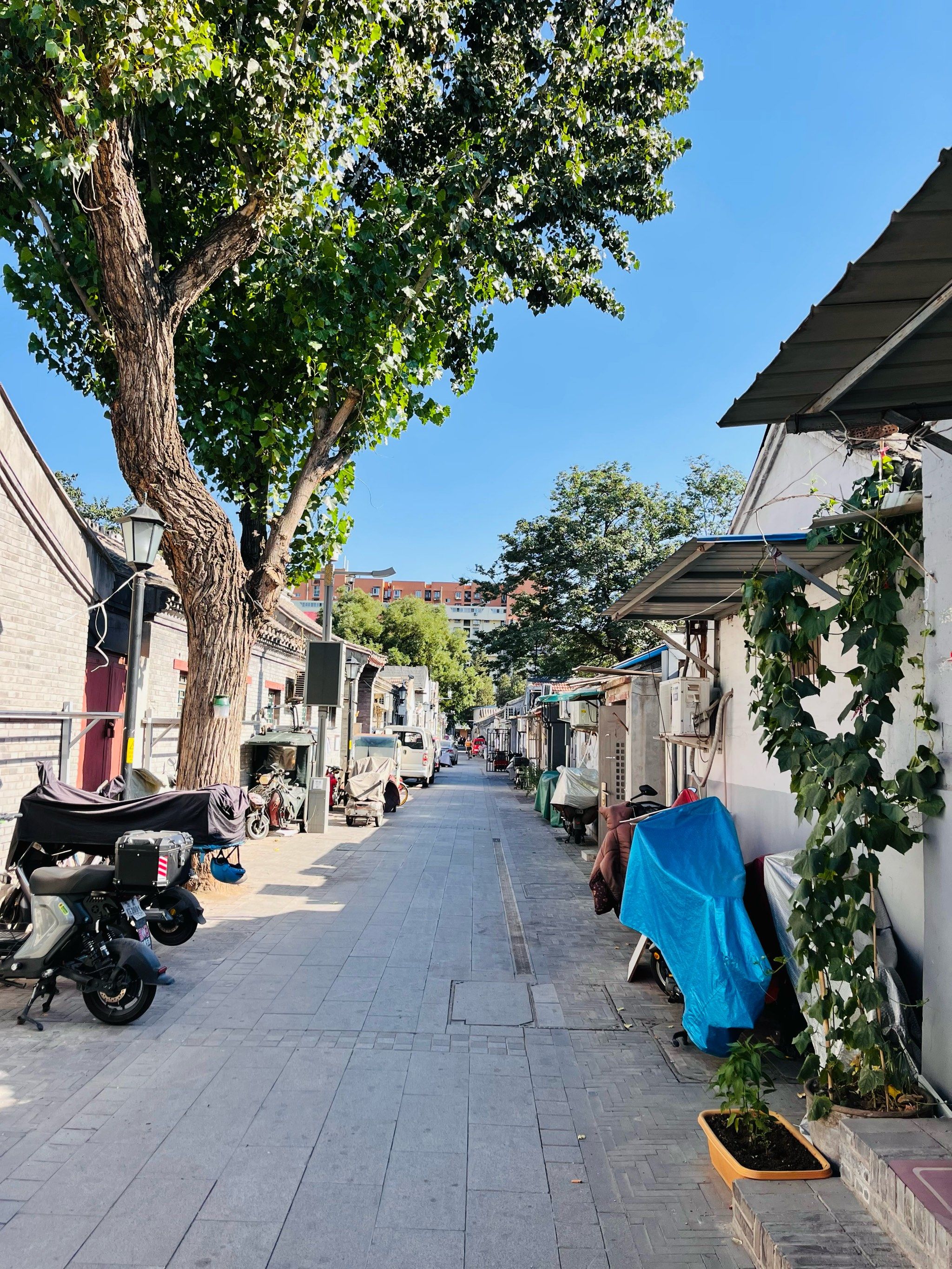 北京胡同漫游记🚴