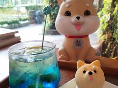 -柴犬高等学院·狗咖·柴犬售卖·宠物训练