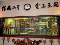 -中国黄金(北京旗舰店)
