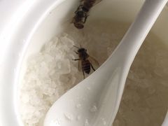 -侯臣咖啡文化村