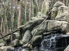 -普洱太阳河森林公园