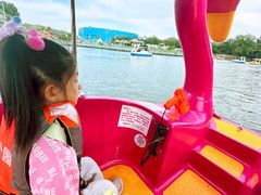 -朝阳公园游乐园