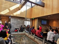 -四季民福烤鸭店(前门店)