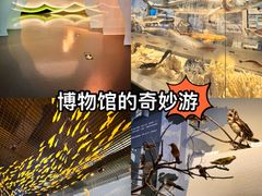 -舟山博物馆