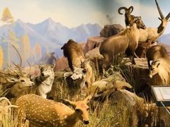 -陕西自然博物馆