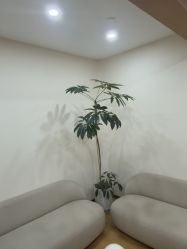 -HEYAN荷妍专业脱毛连锁机构
