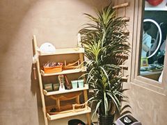 -施奈儿.洗头頭療.按摩SPA.采耳(上梅林店)