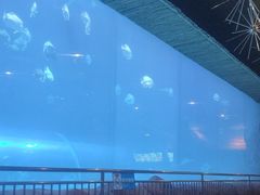 -华夏文旅西安度假区