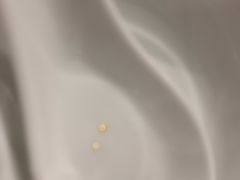 -粤潮牛肉火锅店(江南大道店)