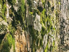 -麓山国际实验学校