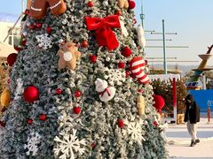 -福州罗源湾海洋世界旅游区