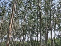 -仁和公园(顺义区)