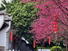 -三坊七巷历史文化街区