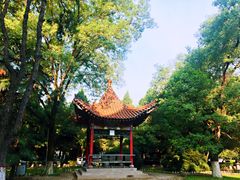 -陕西师范大学(雁塔校区)