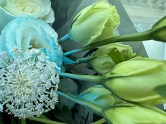 -Gigi Florist·Dk Coffee