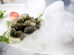 冰镇活海参-怡情荟•海鲜青岛菜(五四广场旗舰店)