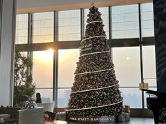 -悦厅·下午茶(杭州柏悦酒店)