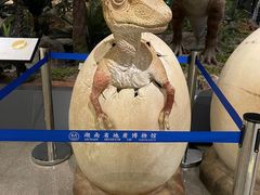 -湖南省地质博物馆