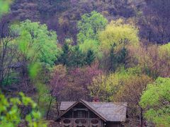 -九如山休闲旅游度假区