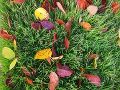 -济南国际园博园