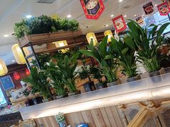 -大清花饺子(山庄店)