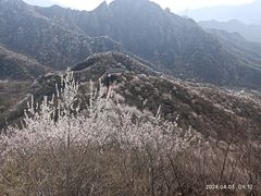 -大岭沟猕猴桃谷风景区
