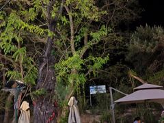 -丽泽山庄·生态怀柔菜·虹鳟鱼(红螺寺店)