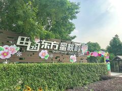 -田园东方蜜桃村的田野营地