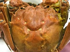 -渭塘酒家(生态园店)