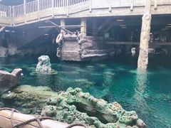 景点-长鹿旅游休博园