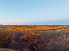 -塞罕坝国家级自然保护区