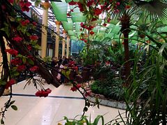 -陶然居·重庆菜(生态园店)