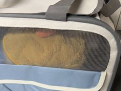 -半岛宠物医院24小时(白果林店)