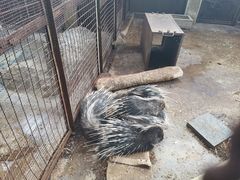 -昆明动物园