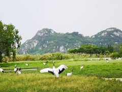 -星湖旅游景区七星岩