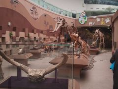 -陕西自然博物馆