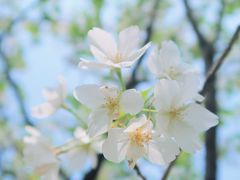 -府河摄影公园