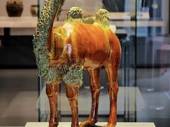 -贵州省博物馆(新馆)
