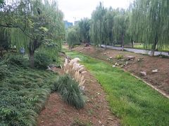 -堤角公园