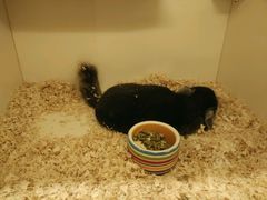 -龙猫仔乐园(惠福东路店)