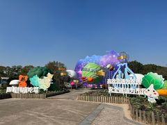 -上海都市菜园