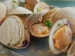 葱蒸沙白-红月湾海鲜饭店•沙滩海景(双月湾店)