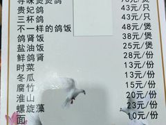 -新荷花世界