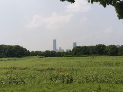 -苏州湾体育公园