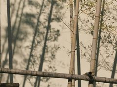 -雅达·阳羡溪山小镇中心