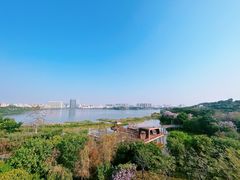 -立新湖公园