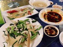 -龙翔山庄雷鸡肉(青城后山泰安古镇店)
