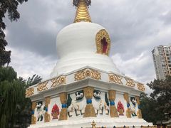 -护国法轮寺