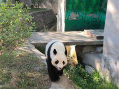 -天津市动物园
