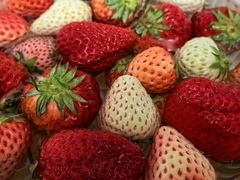 -AEON永旺(东方宝泰店)